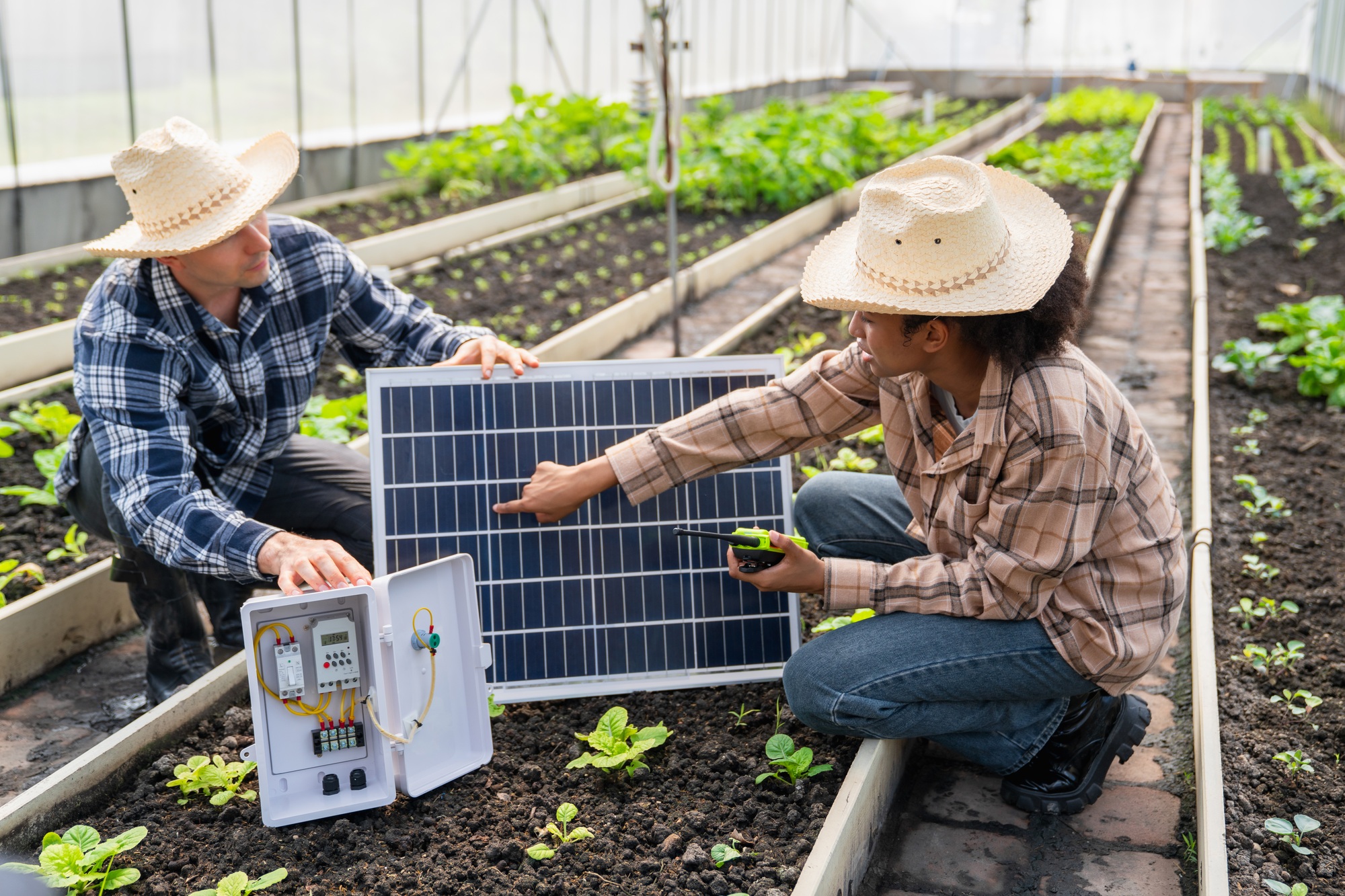 Farmers using solar to power greenhouses for crop production.